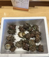 大地郎 米倉 review photo