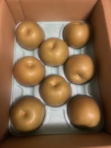 可連 吉川 review photo