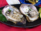 zo3 review photo