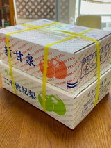 テオテオ review photo