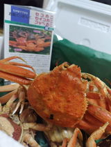 希代香 渡邊 review photo