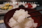 ダーリンのつま review photo