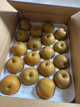 新甘泉 review photo