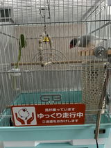 文鳥ラブ review photo