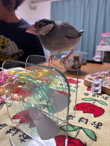 しょん review photo