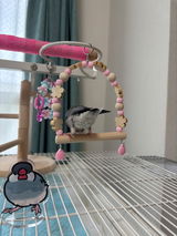 しょん review photo