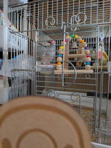 ゆか review photo