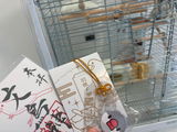 みや review photo