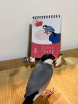 つぶまる review photo