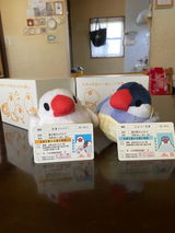 丸山明子 review photo