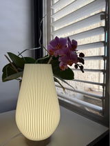 איתי קורן review photo