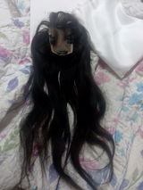 Venessa A review photo