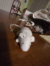 Etsy customer review photo