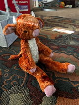 Etsy customer review photo