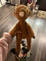 Etsy customer review photo