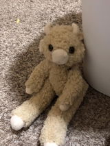 Etsy customer review photo