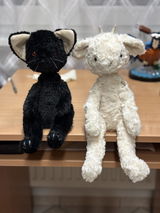 Mewa review photo