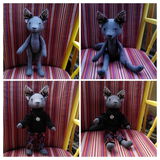 Rafi review photo