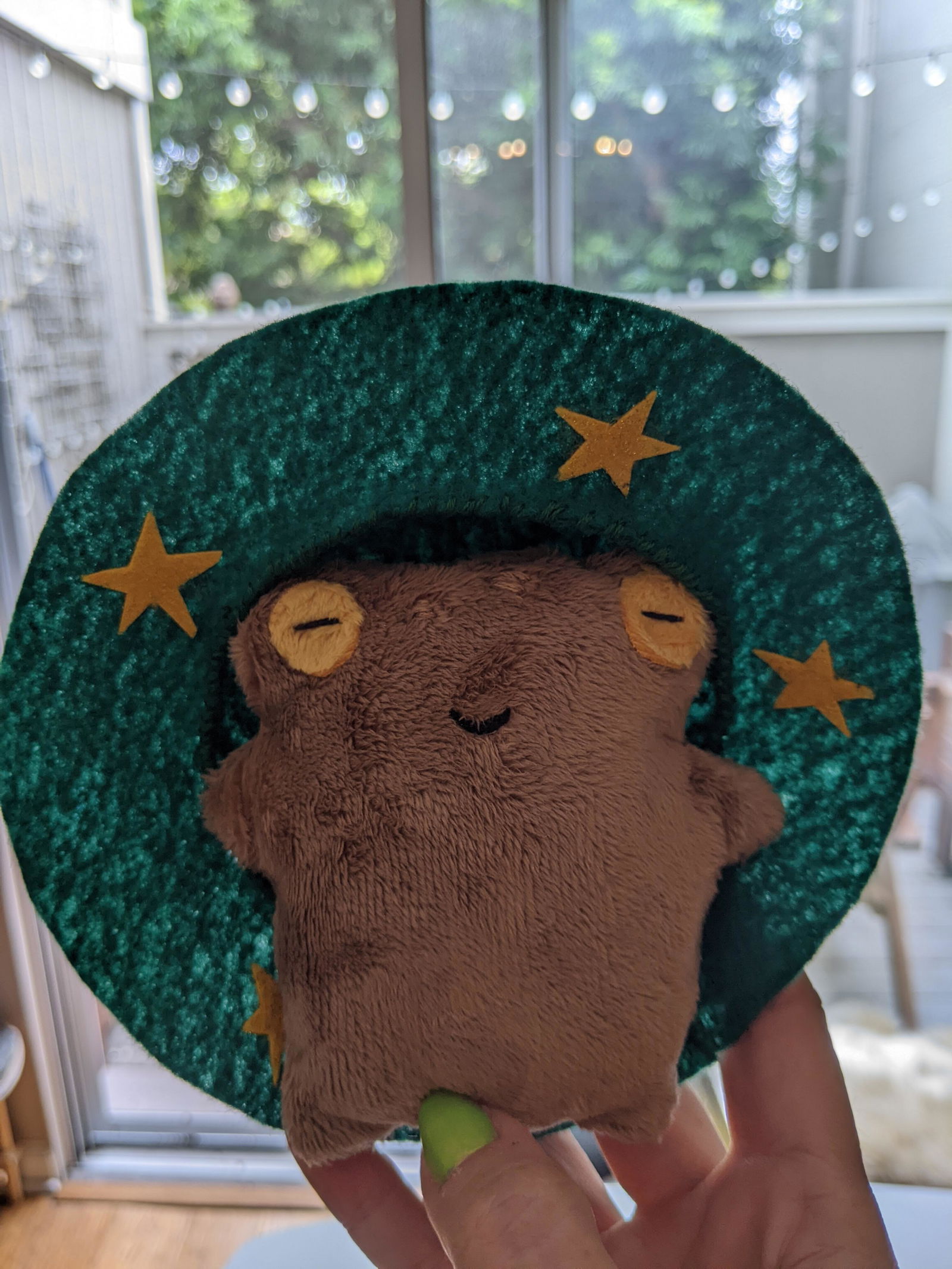 Frog Mage Plushie Sewing Pattern | Digital PDF – 10x2 Studio