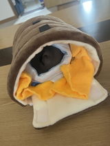 千春 review photo