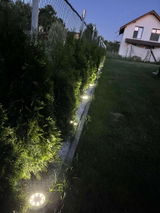 Sergiu Dunca review photo