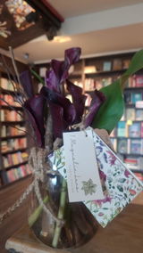 THE BOOKSHOP INC review photo
