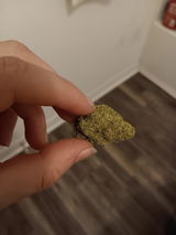 Rico review photo