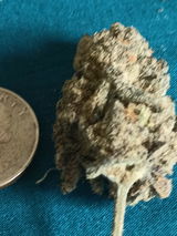 Anymous P. review photo