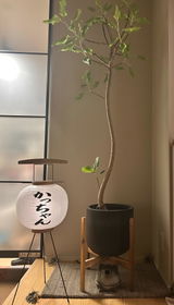 4seki review photo