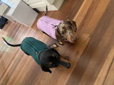 Marelle G. review photo
