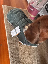 Bronwyn S. review photo