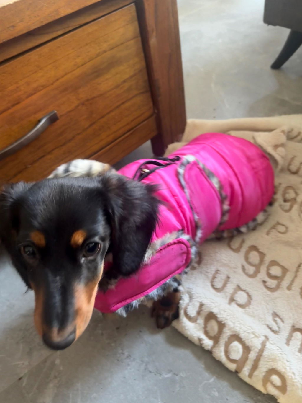 Rose Pink Leopard Luxe Puffa Coat