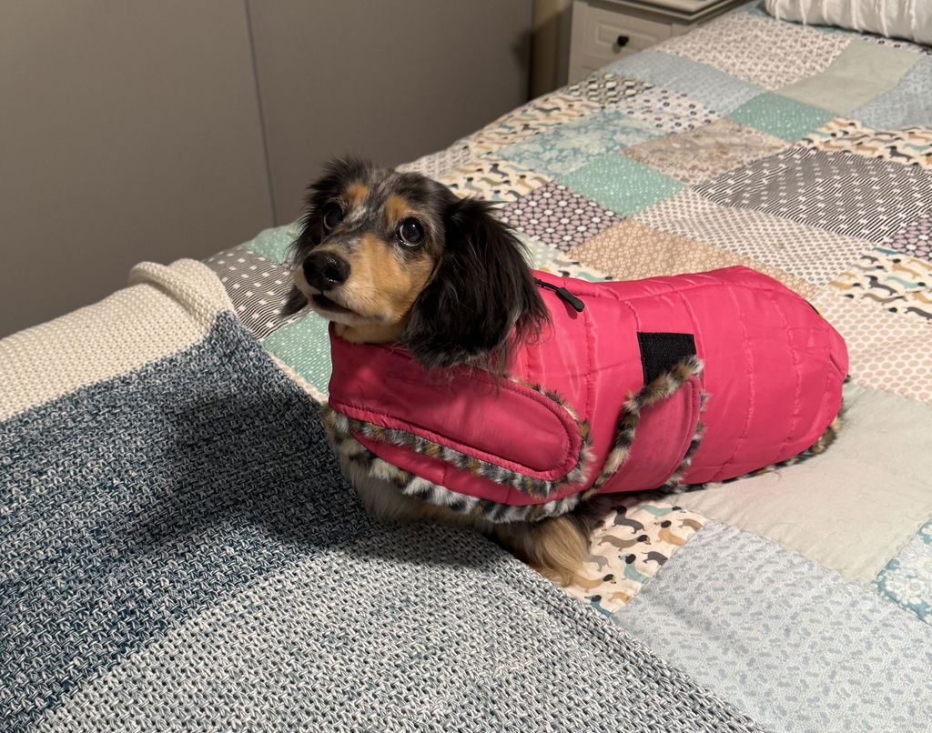 Rose Pink Leopard Luxe Puffa Coat