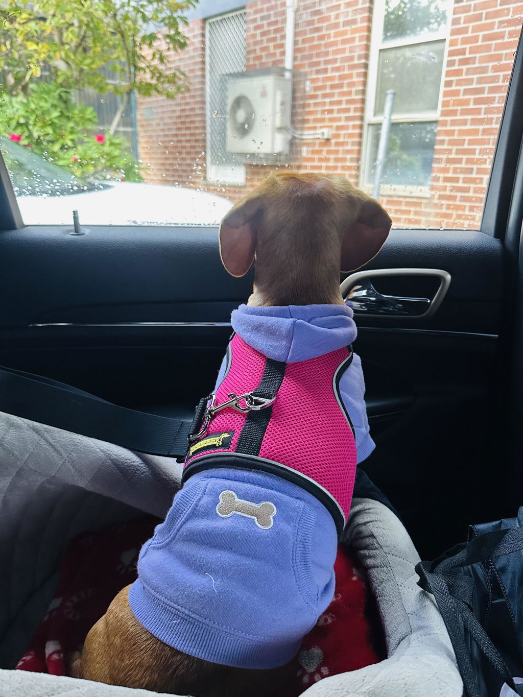 Magenta Mischief Polartec®  Fleece Romper