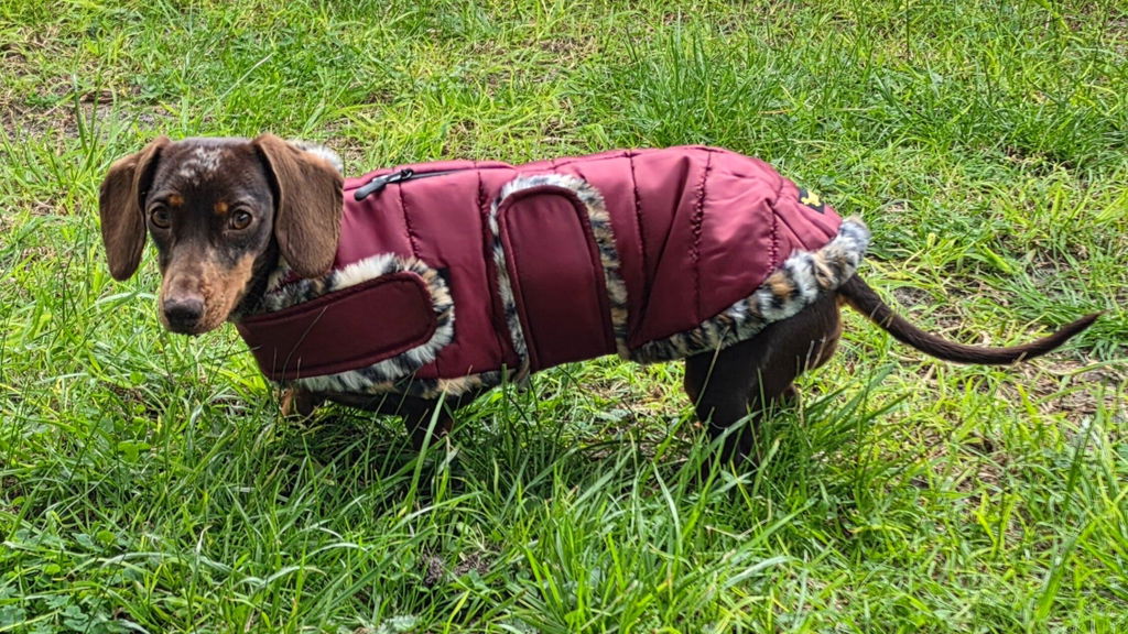 Auburn Leopard Luxe Puffa Coat