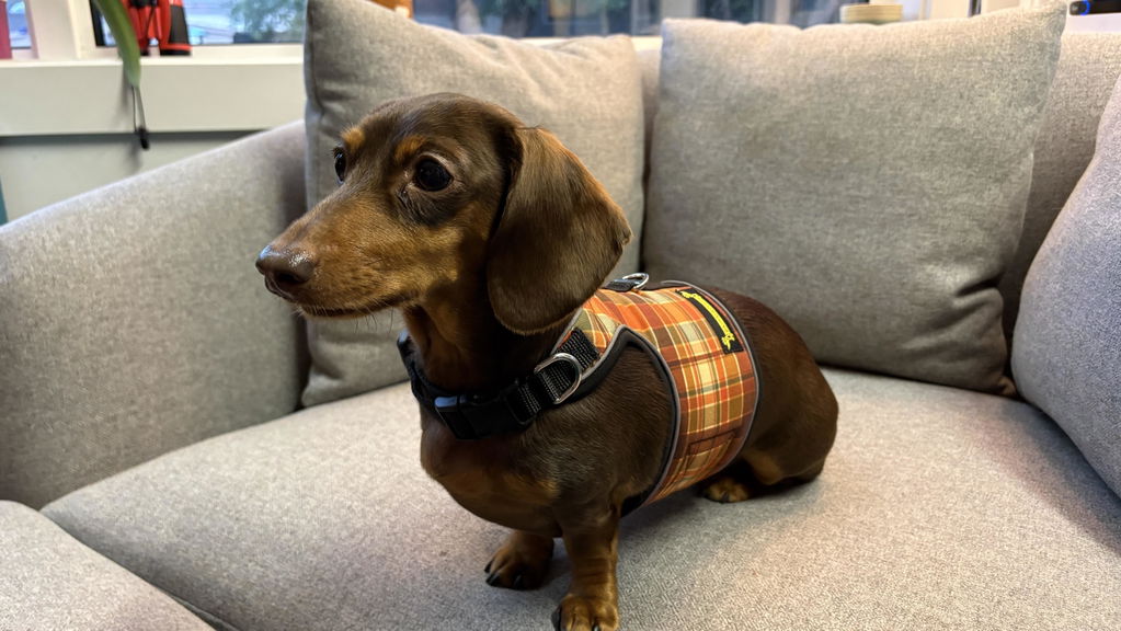 Rusty Plaid Hug Me Harness™