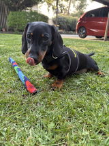 Sarah G. review photo