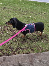Debra F. review photo