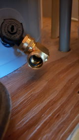 Eli T. review photo