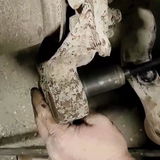 Zander K. review photo