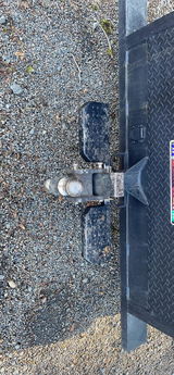 Grey_Peter review photo