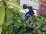 Ryan W. review photo