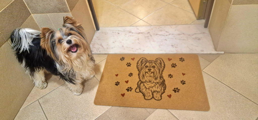 3 2 1 SURPRISE