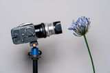 Mav review photo