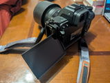 Matt S. review photo
