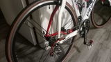 randell gribben review photo