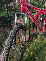 John Danley review photo