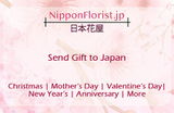 Japan gift delivery review photo