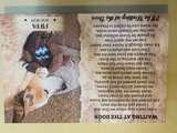 Belinda Keller review photo