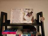 Jenn Higley review photo